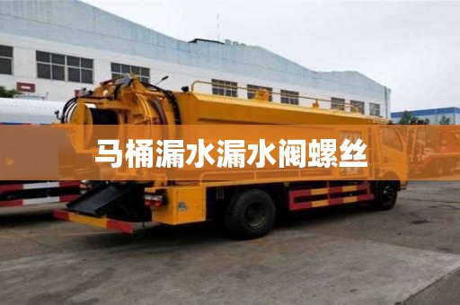 馬桶漏水漏水閥螺絲