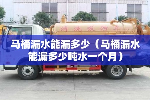馬桶漏水能漏多少（馬桶漏水能漏多少噸水一個月）