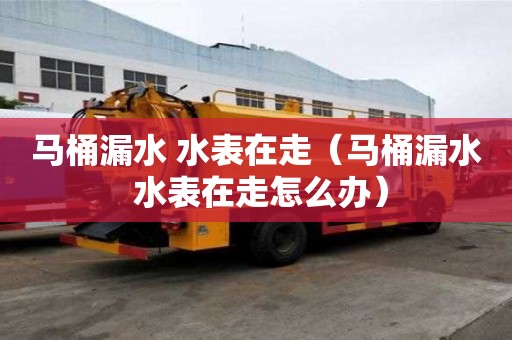 馬桶漏水 水表在走（馬桶漏水 水表在走怎么辦）