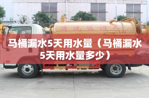 馬桶漏水5天用水量（馬桶漏水5天用水量多少）