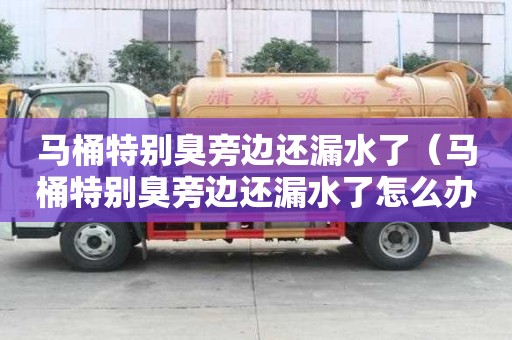 馬桶特別臭旁邊還漏水了(馬桶特別臭旁邊還漏水了怎么辦) 馬桶特別臭旁邊還漏水了(馬桶特別臭旁邊還漏水了怎么辦)