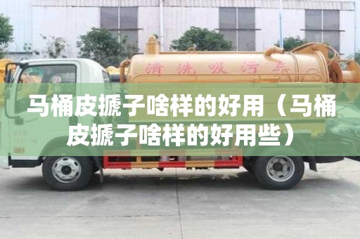 馬桶皮搋子啥樣的好用（馬桶皮搋子啥樣的好用些）