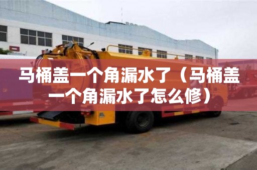馬桶蓋一個角漏水了（馬桶蓋一個角漏水了怎么修）