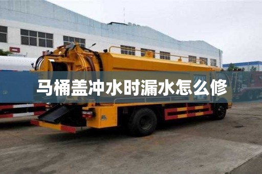 馬桶蓋沖水時漏水怎么修