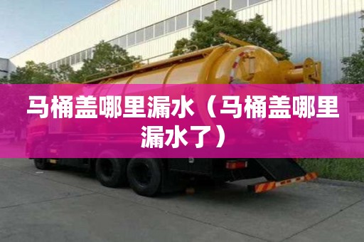 馬桶蓋哪里漏水（馬桶蓋哪里漏水了）