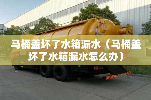 馬桶蓋壞了水箱漏水（馬桶蓋壞了水箱漏水怎么辦）