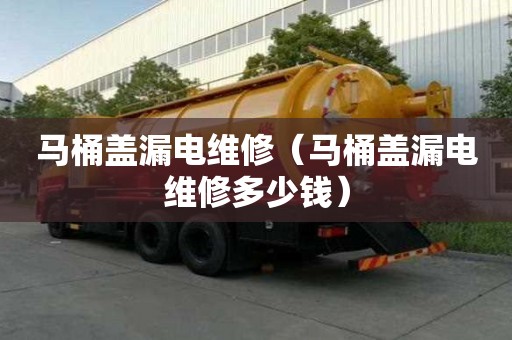 馬桶蓋漏電維修（馬桶蓋漏電維修多少錢）