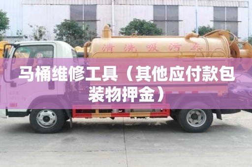 馬桶維修工具（其他應(yīng)付款包裝物押金）