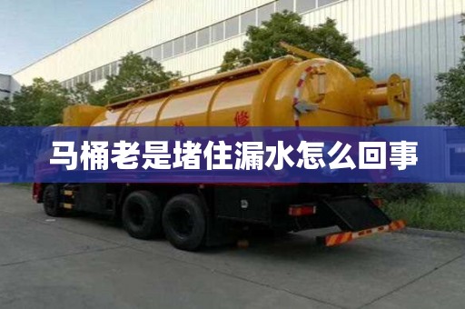 馬桶老是堵住漏水怎么回事