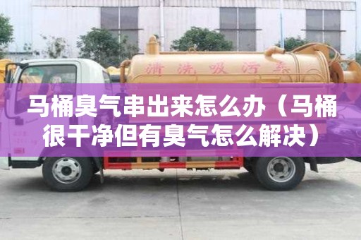 馬桶臭氣串出來(lái)怎么辦（馬桶很干凈但有臭氣怎么解決）