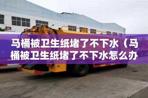 馬桶被衛(wèi)生紙堵了不下水（馬桶被衛(wèi)生紙堵了不下水怎么辦）
