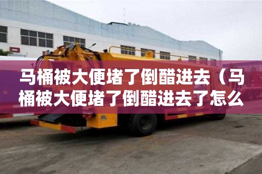 馬桶被大便堵了倒醋進(jìn)去（馬桶被大便堵了倒醋進(jìn)去了怎么辦）