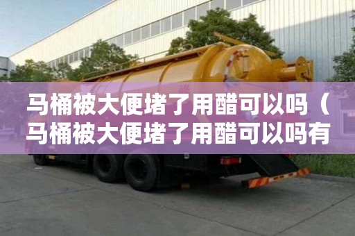 馬桶被大便堵了用醋可以嗎（馬桶被大便堵了用醋可以嗎有用嗎）