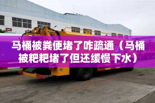 馬桶被糞便堵了咋疏通（馬桶被粑粑堵了但還緩慢下水）
