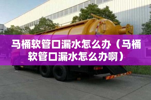 馬桶軟管口漏水怎么辦（馬桶軟管口漏水怎么辦啊）