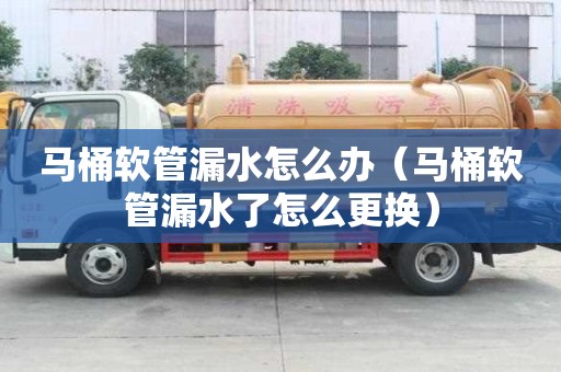 馬桶軟管漏水怎么辦（馬桶軟管漏水了怎么更換）