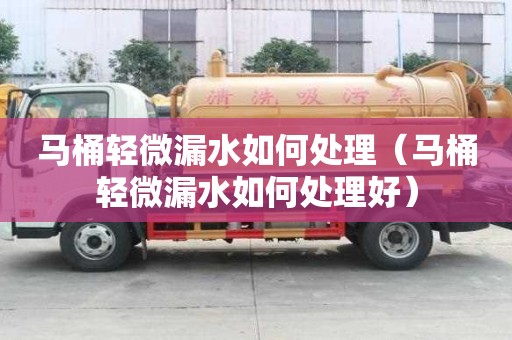 馬桶輕微漏水如何處理（馬桶輕微漏水如何處理好）