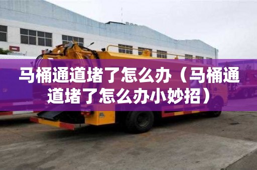 馬桶通道堵了怎么辦（馬桶通道堵了怎么辦小妙招）