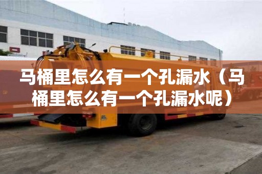 馬桶里怎么有一個孔漏水（馬桶里怎么有一個孔漏水呢）