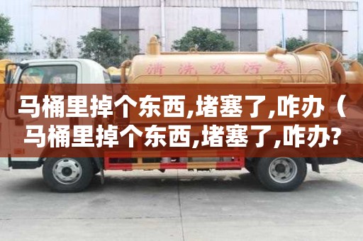 馬桶里掉個東西,堵塞了,咋辦（馬桶里掉個東西,堵塞了,咋辦?）