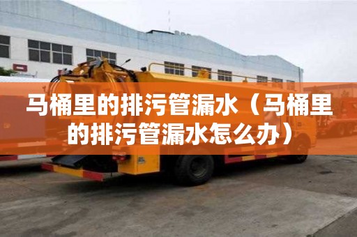 馬桶里的排污管漏水（馬桶里的排污管漏水怎么辦）
