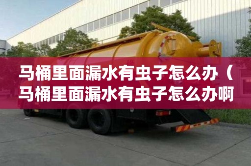 馬桶里面漏水有蟲子怎么辦(馬桶里面漏水有蟲子怎么辦?。? title=