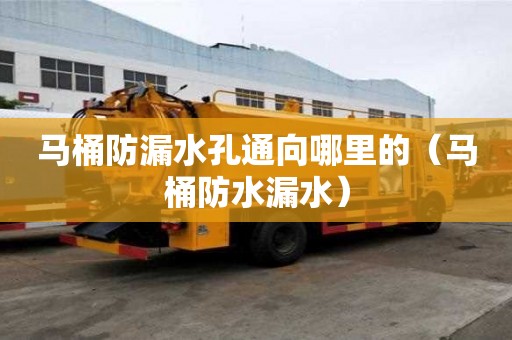 馬桶防漏水孔通向哪里的（馬桶防水漏水）