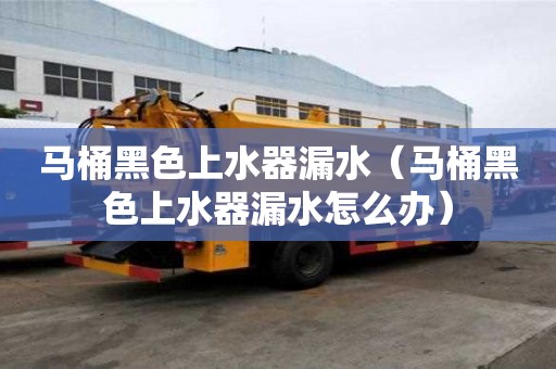 馬桶黑色上水器漏水(馬桶黑色上水器漏水怎么辦) 馬桶黑色上水器漏水(馬桶黑色上水器漏水怎么辦)