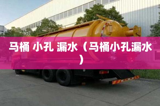 馬桶 小孔 漏水（馬桶小孔漏水）