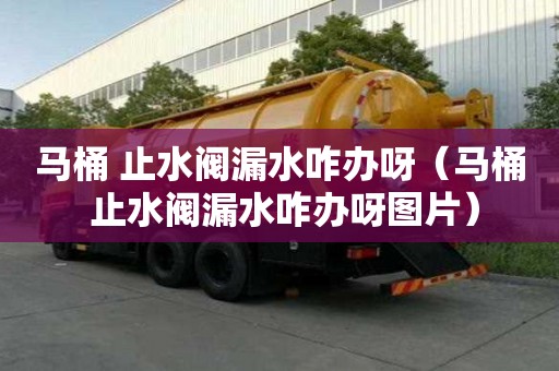 馬桶 止水閥漏水咋辦呀（馬桶 止水閥漏水咋辦呀圖片）