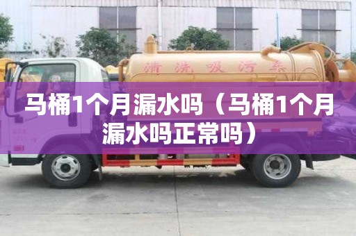 馬桶1個月漏水嗎（馬桶1個月漏水嗎正常嗎）