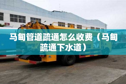 馬甸管道疏通怎么收費(fèi)(馬甸疏通下水道) 馬甸管道疏通怎么收費(fèi)(馬甸疏通下水道)
