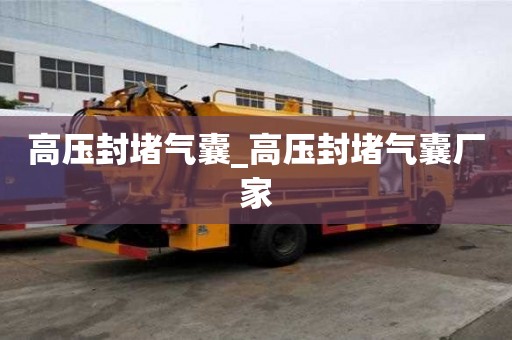 高壓封堵氣囊_高壓封堵氣囊廠家