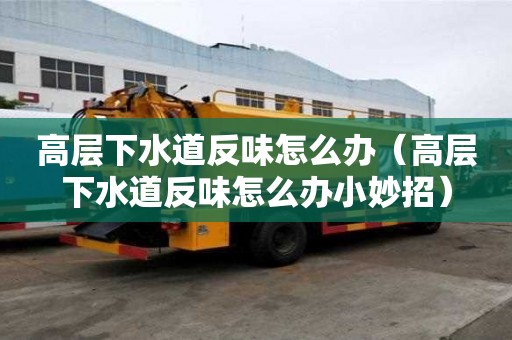 高層下水道反味怎么辦（高層下水道反味怎么辦小妙招）