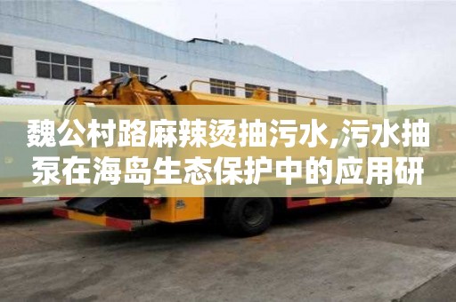 魏公村路麻辣燙抽污水,污水抽泵在海島生態保護中的應用研究