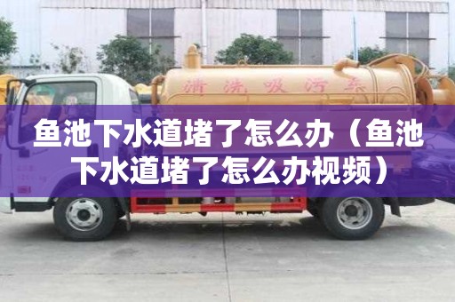 魚池下水道堵了怎么辦（魚池下水道堵了怎么辦視頻）