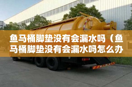 魚馬桶腳墊沒有會漏水嗎（魚馬桶腳墊沒有會漏水嗎怎么辦）