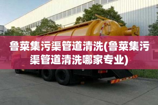 魯菜集污渠管道清洗(魯菜集污渠管道清洗哪家專業(yè))