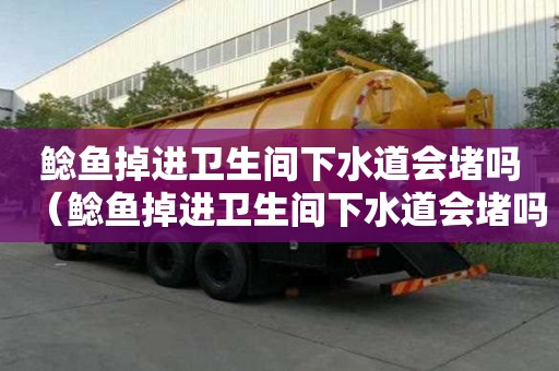 鯰魚掉進衛生間下水道會堵嗎(鯰魚掉進衛生間下水道會堵嗎視頻) 鯰魚掉進衛生間下水道會堵嗎(鯰魚掉進衛生間下水道會堵嗎視頻)