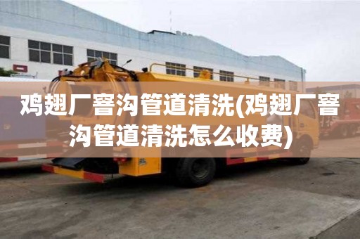 雞翅廠窨溝管道清洗(雞翅廠窨溝管道清洗怎么收費)