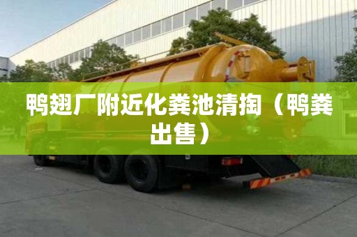 鴨翅廠附近化糞池清掏（鴨糞出售）