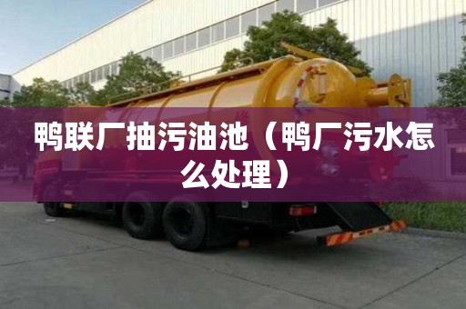 鴨聯廠抽污油池（鴨廠污水怎么處理）
