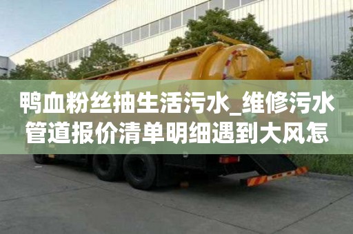 鴨血粉絲抽生活污水_維修污水管道報(bào)價(jià)清單明細(xì)遇到大風(fēng)怎么辦