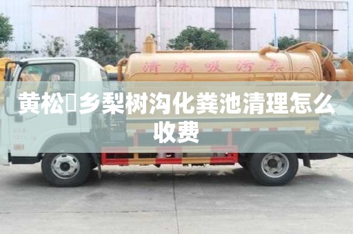 黃松硲鄉(xiāng)梨樹溝化糞池清理怎么收費(fèi)