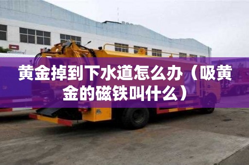 黃金掉到下水道怎么辦（吸黃金的磁鐵叫什么）