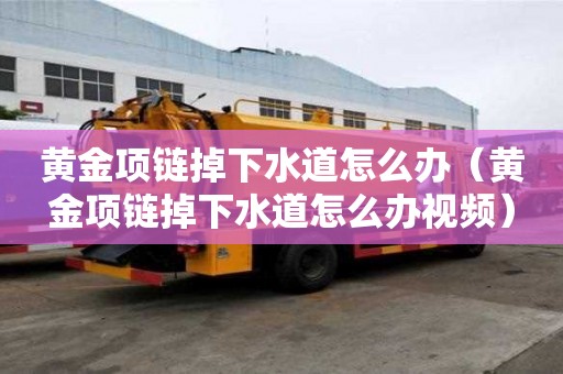黃金項鏈掉下水道怎么辦（黃金項鏈掉下水道怎么辦視頻）