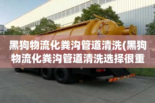 黑狗物流化糞溝管道清洗(黑狗物流化糞溝管道清洗選擇很重要)