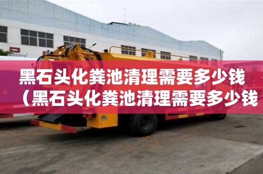 黑石頭化糞池清理需要多少錢（黑石頭化糞池清理需要多少錢一個）