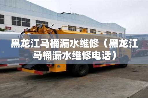 黑龍江馬桶漏水維修(黑龍江馬桶漏水維修電話) 黑龍江馬桶漏水維修(黑龍江馬桶漏水維修電話)