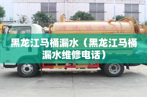 黑龍江馬桶漏水（黑龍江馬桶漏水維修電話）